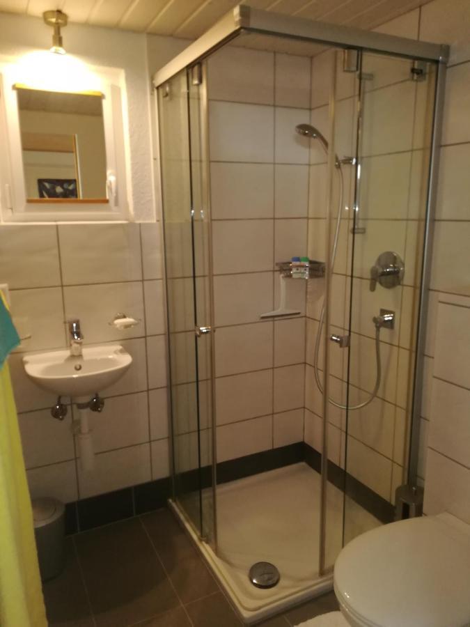 Apartament Montanara Meiringen Zewnętrze zdjęcie