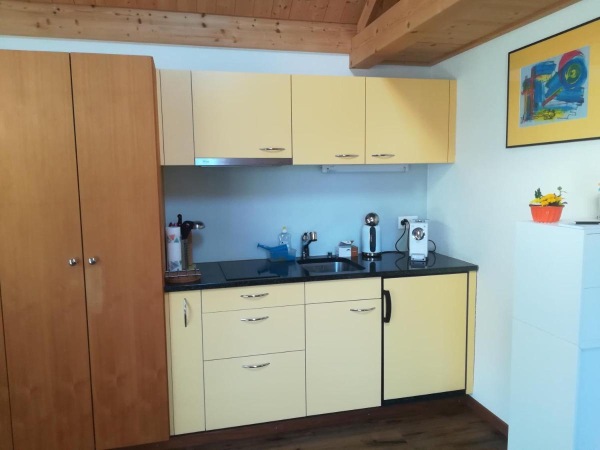 Apartament Montanara Meiringen Zewnętrze zdjęcie